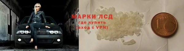 гашик Аркадак