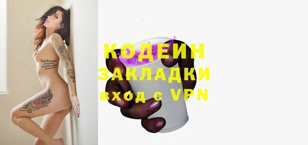 гашик Аркадак