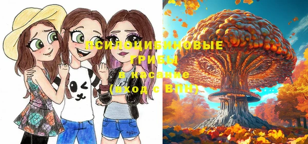 молекула духа Армянск