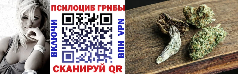 маркетплейс телеграм  Чернушка  Псилоцибиновые грибы Cubensis 