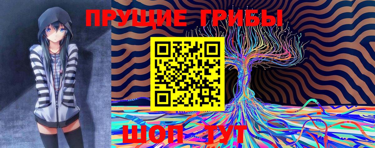 Псилоцибиновые грибы ЛСД Чернушка