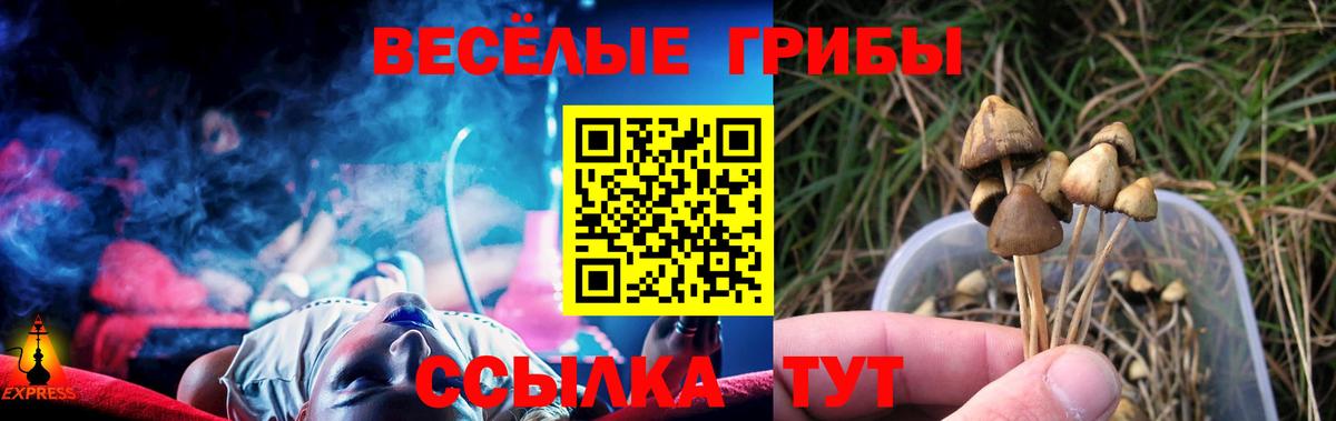 Чернушка  Галлюциногенные грибы Cubensis  Вход с VPN 